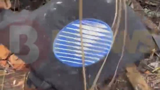 Fábio Gomes / BNews