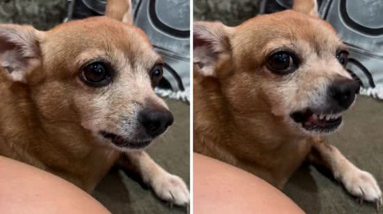 Foto: Reprodução / redes sociais