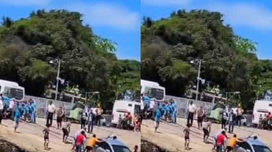 reprodução