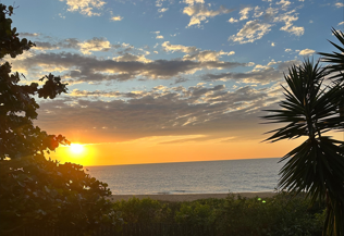Divulgação / Estaleiro