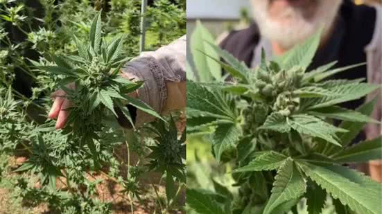 Reprodução/Instagram