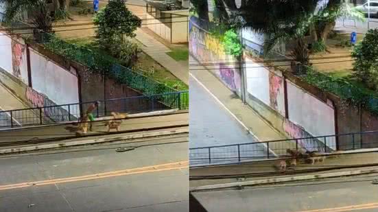 Reprodução / BNews