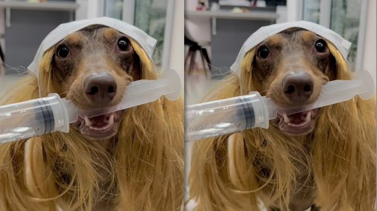 Reprodução Redes Sociais