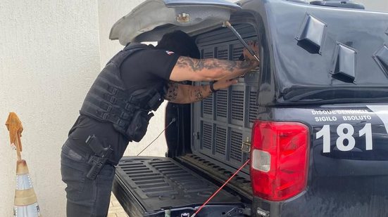 Divulgação Ascom-PCBA