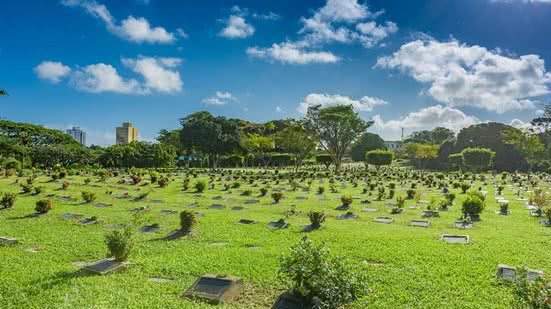Divulgação / Jardim da Saudade