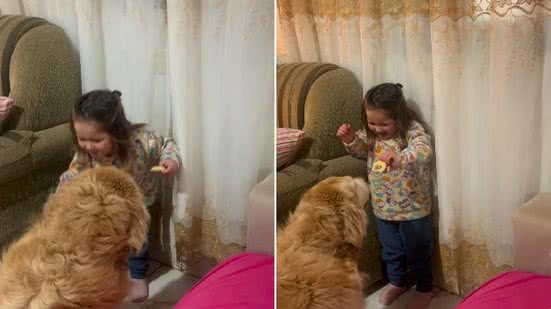 Reprodução / Instagram @goldenshinekennell