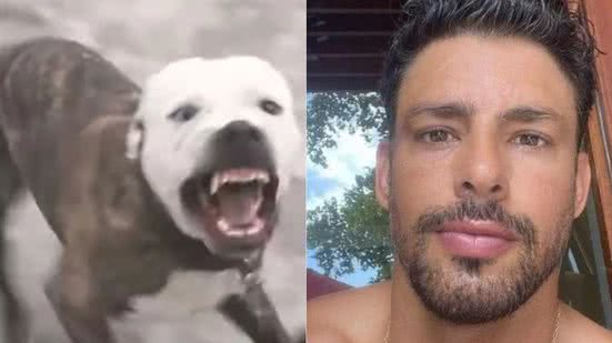 Reprodução/Redes Sociais