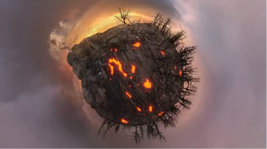 Reprodução - freepik