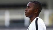 Divulgação / Ricardo Saibun / Santos FC