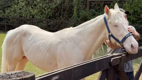 Reprodução / Redes Sociais