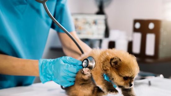 Reprodução Freepik