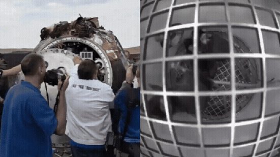 Reprodução / Redes Sociais