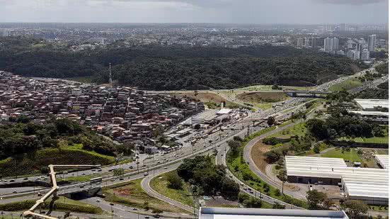 Divulgação / wikimedia / commons