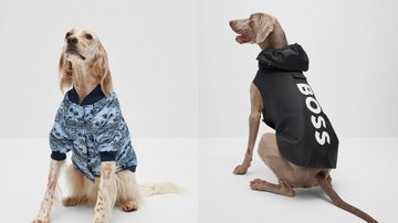 Divulgação/Hugo Boss