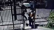 Reprodução/Imagens de câmera de segurança