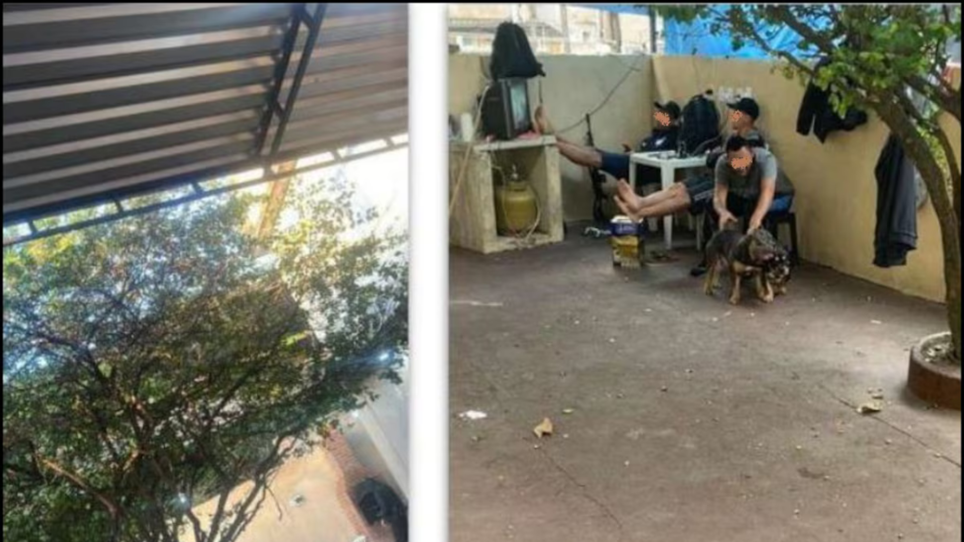 Reprodução/ Policia Civil
