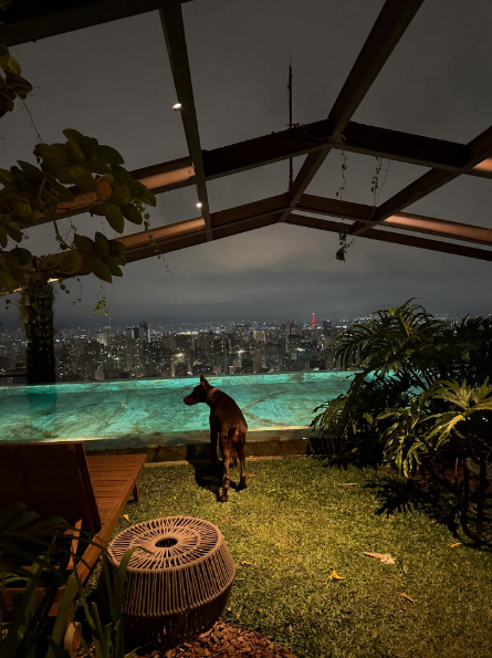 Foto: Reprodução/Redes Sociais - @memphisdepay