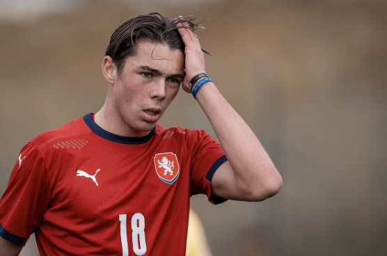 Foto: Reprodução/Redes Sociais - louisbuffon9    - @