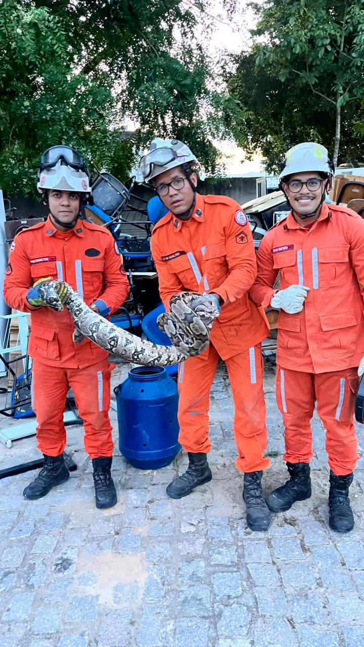Divulgação- Corpo de Bombeiros