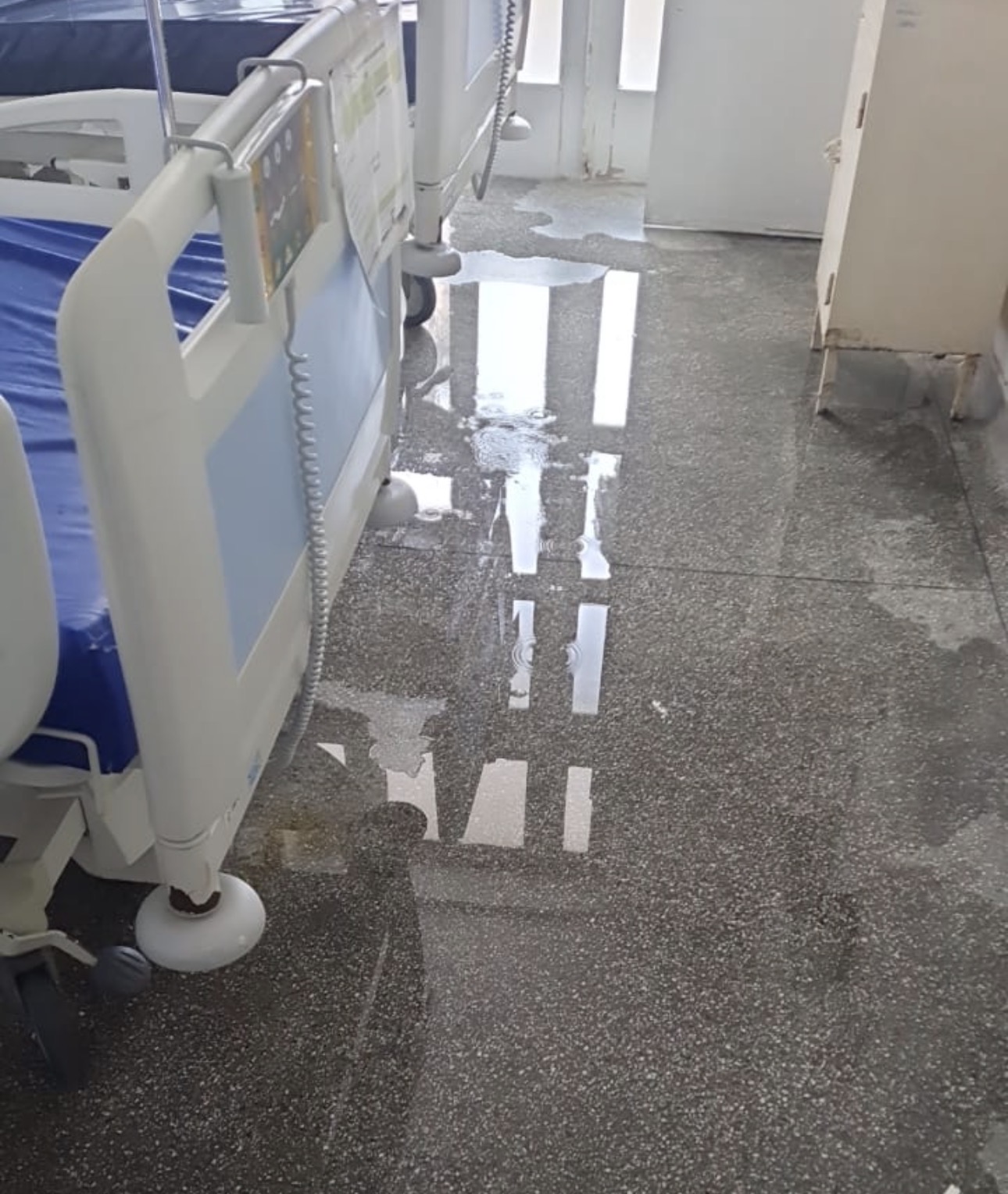 Reprodução / P7 Notícias