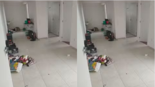  TV Globo/Divulgação