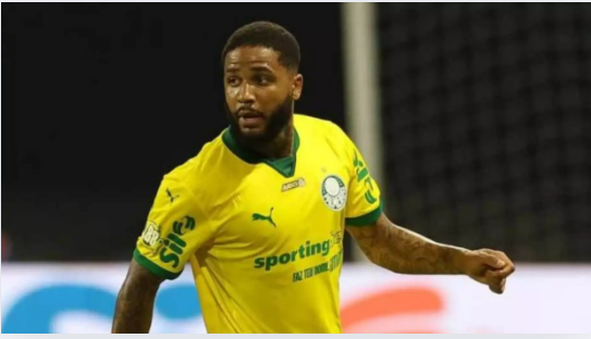 Cesar Greco/Palmeiras / Jogada10