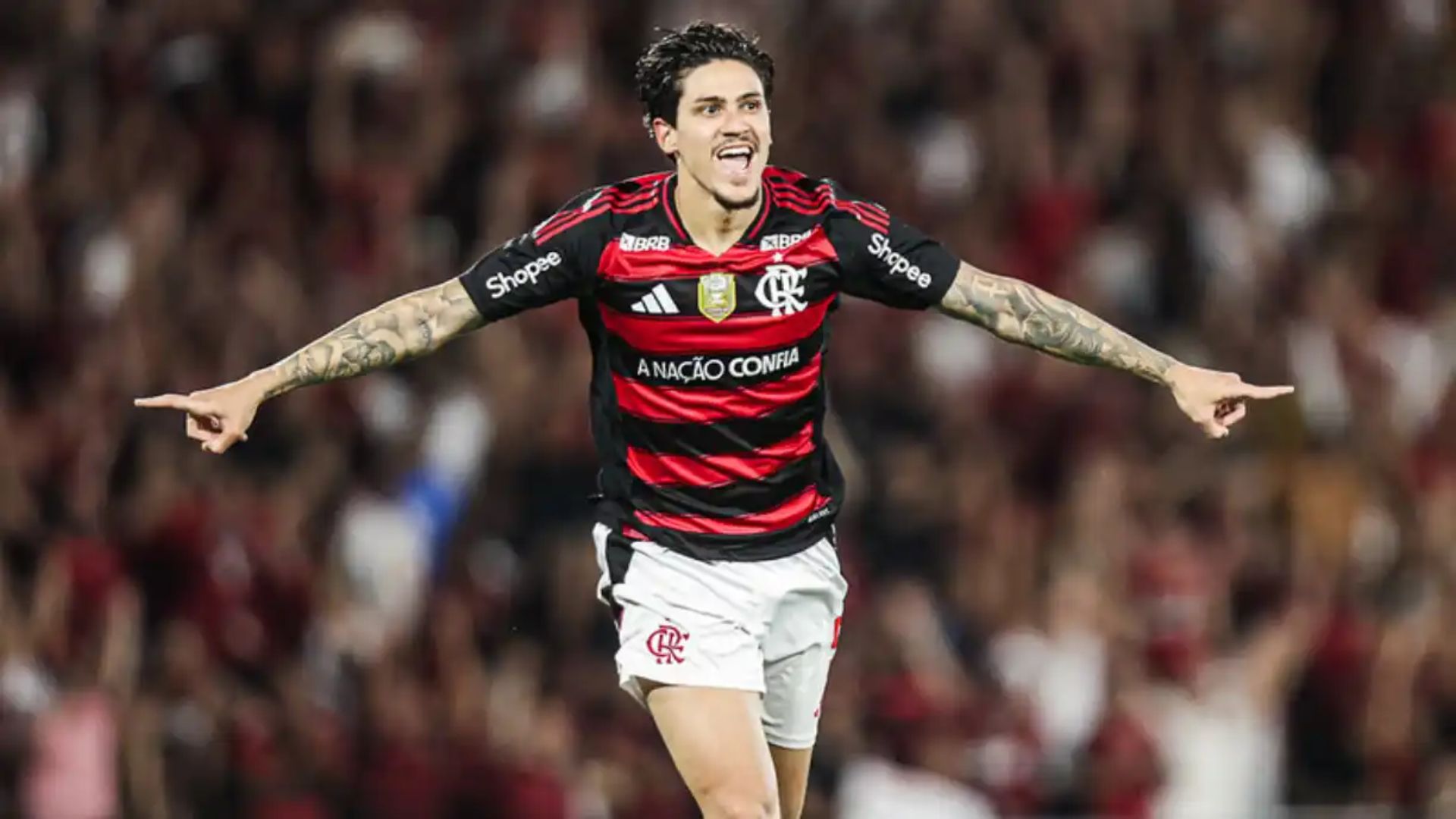 Reprodução/ FLAMENGO 