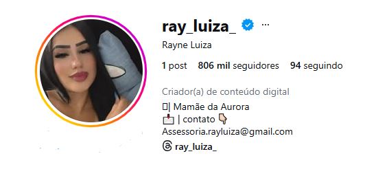 rayne luiza seguidores