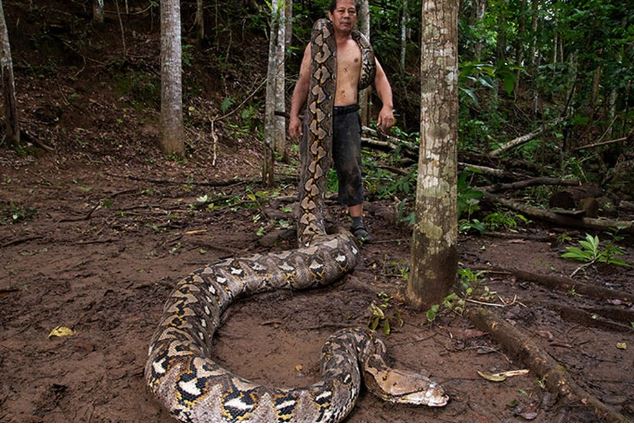 Divulgação / Guinness World Records