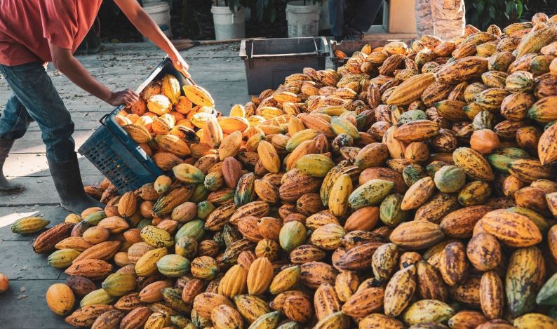 Divulgação/Seagri