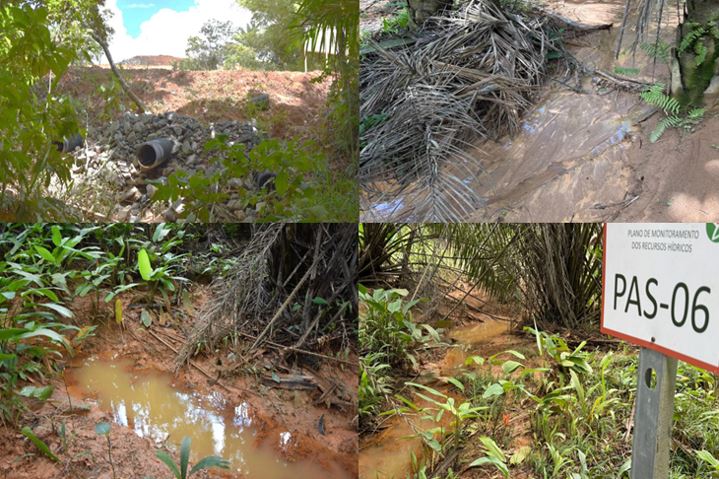 Imagens/Relatório/Ação Ambiental