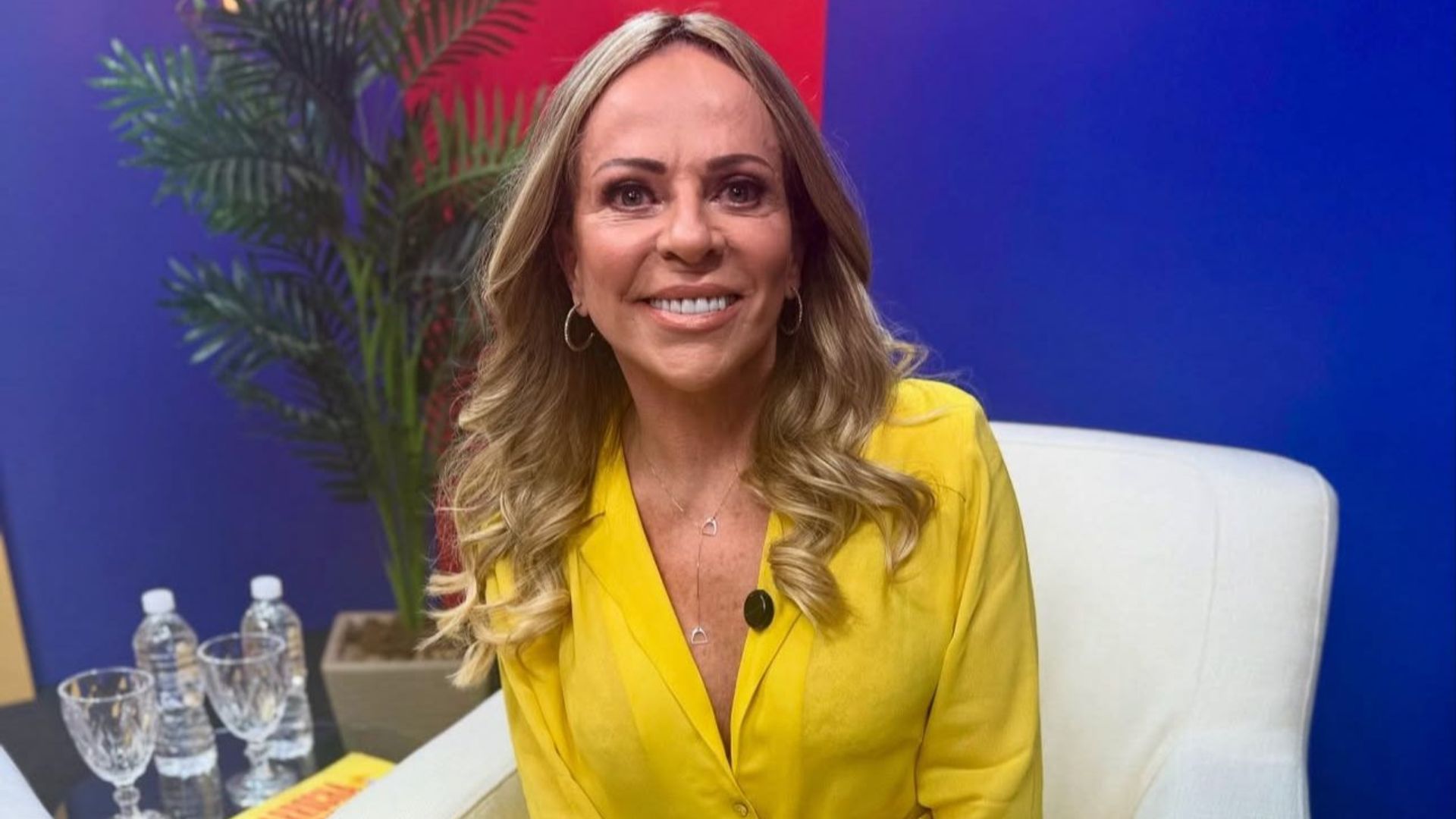 Christina Rocha surge irreconhecível após procedimentos e web compara ...