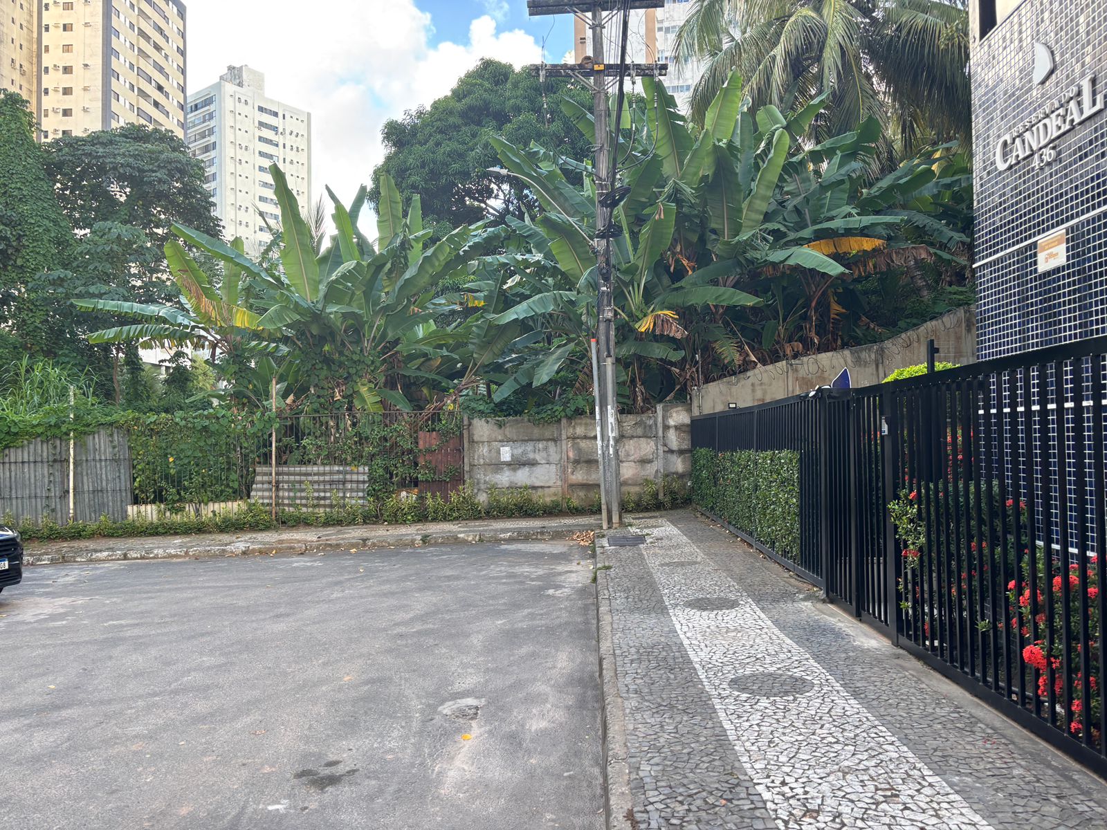 Início da área