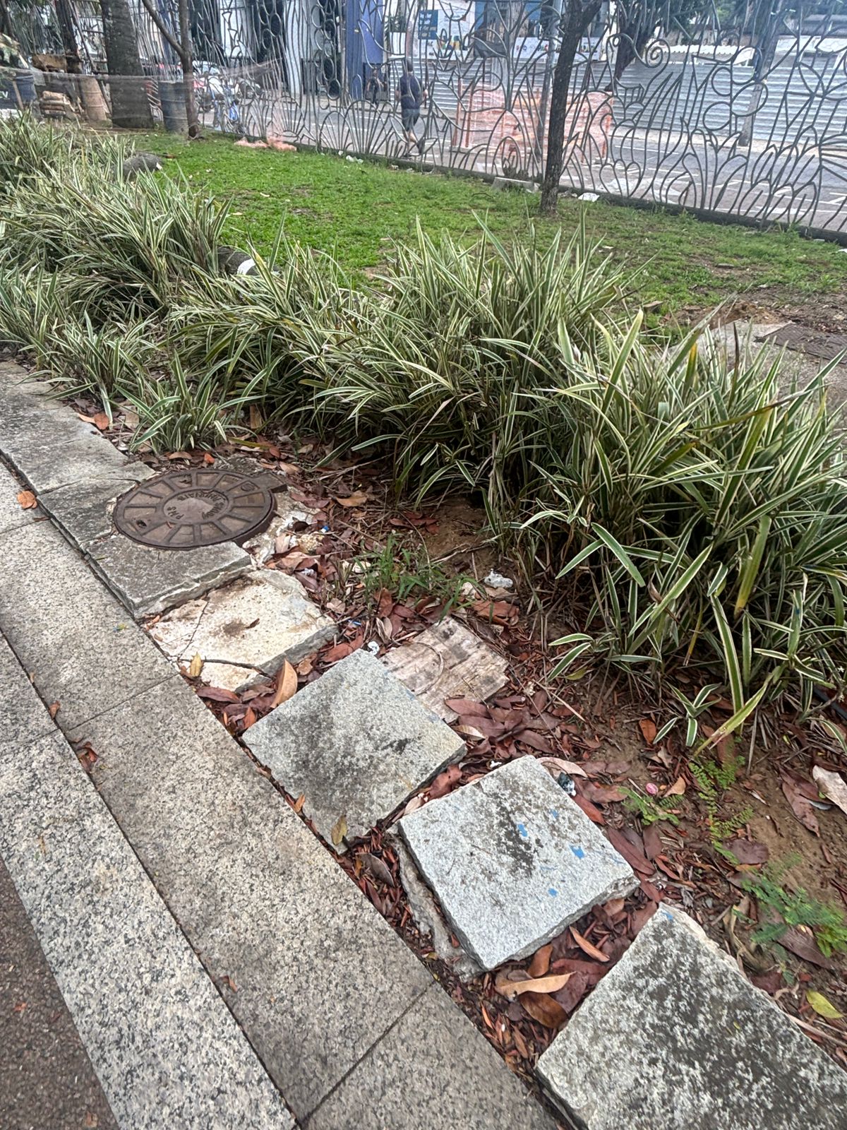 Cenário de abandono na Praça do Campo Grande