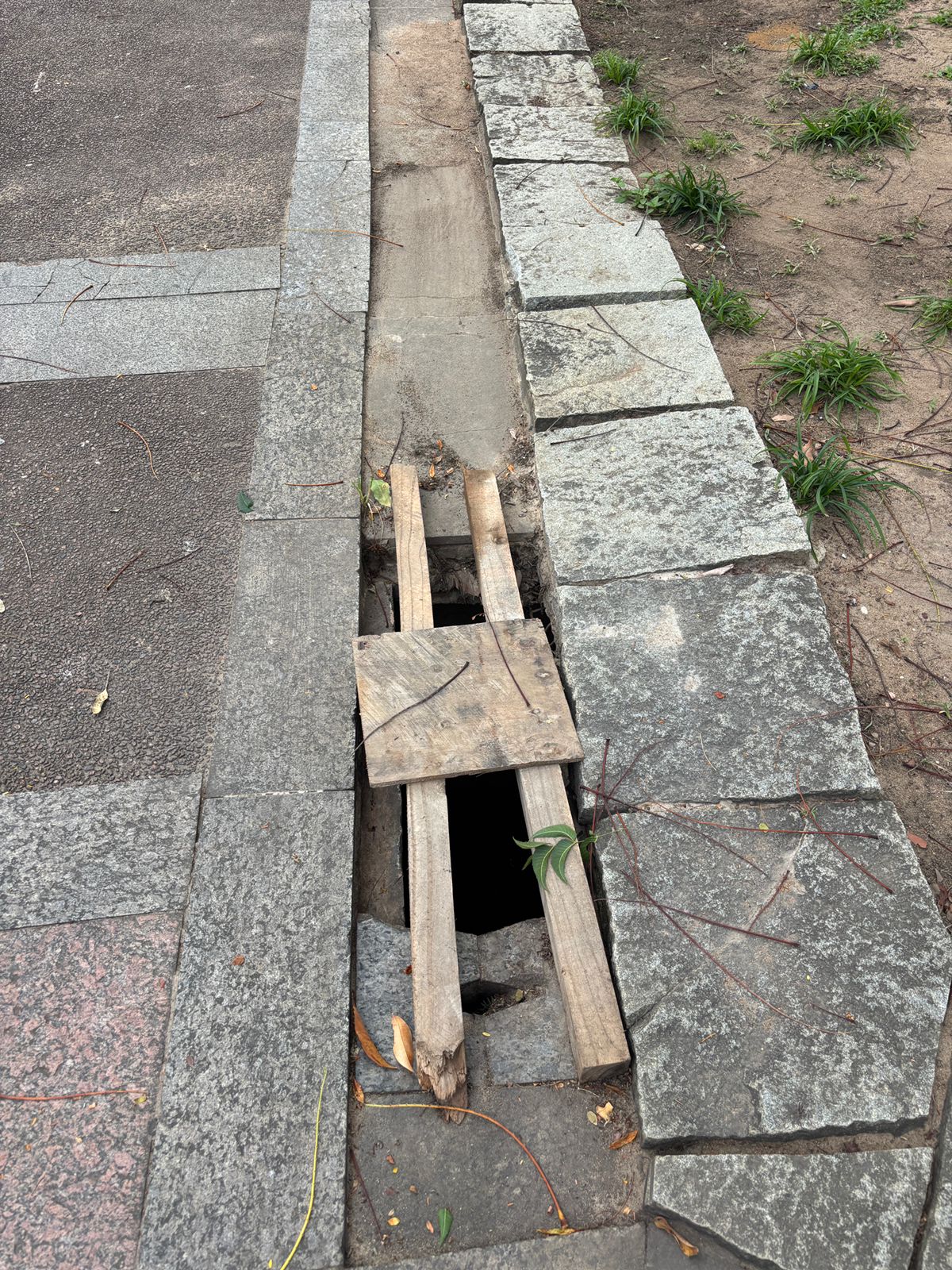 Cenário de abandono na Praça do Campo Grande