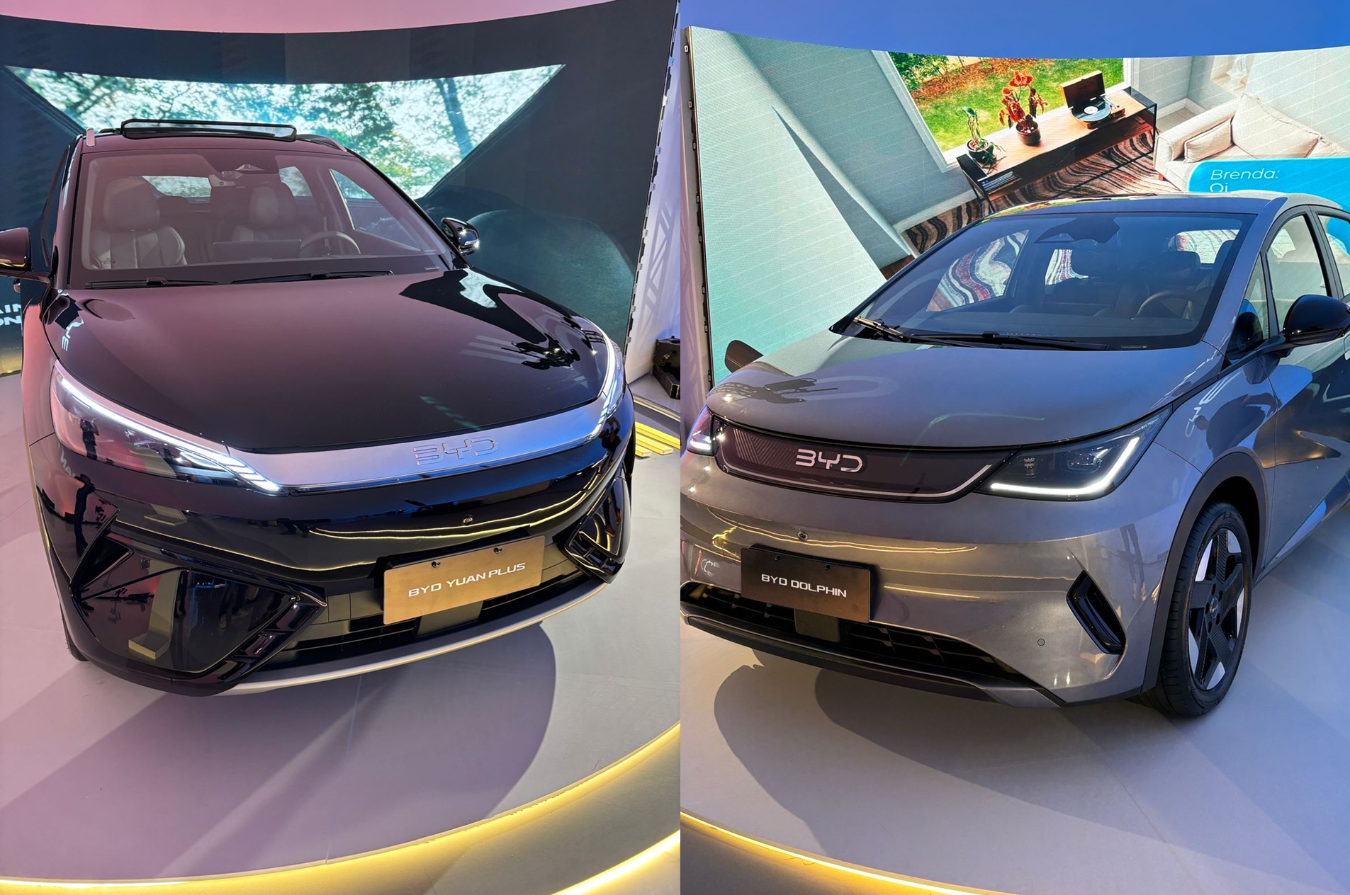 BYD
