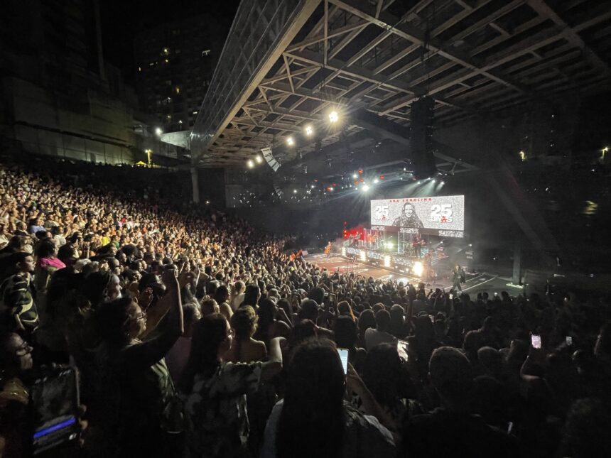 show ana carolina salvador