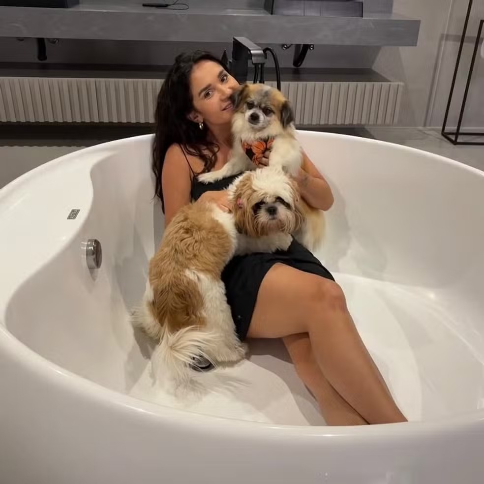 pets 