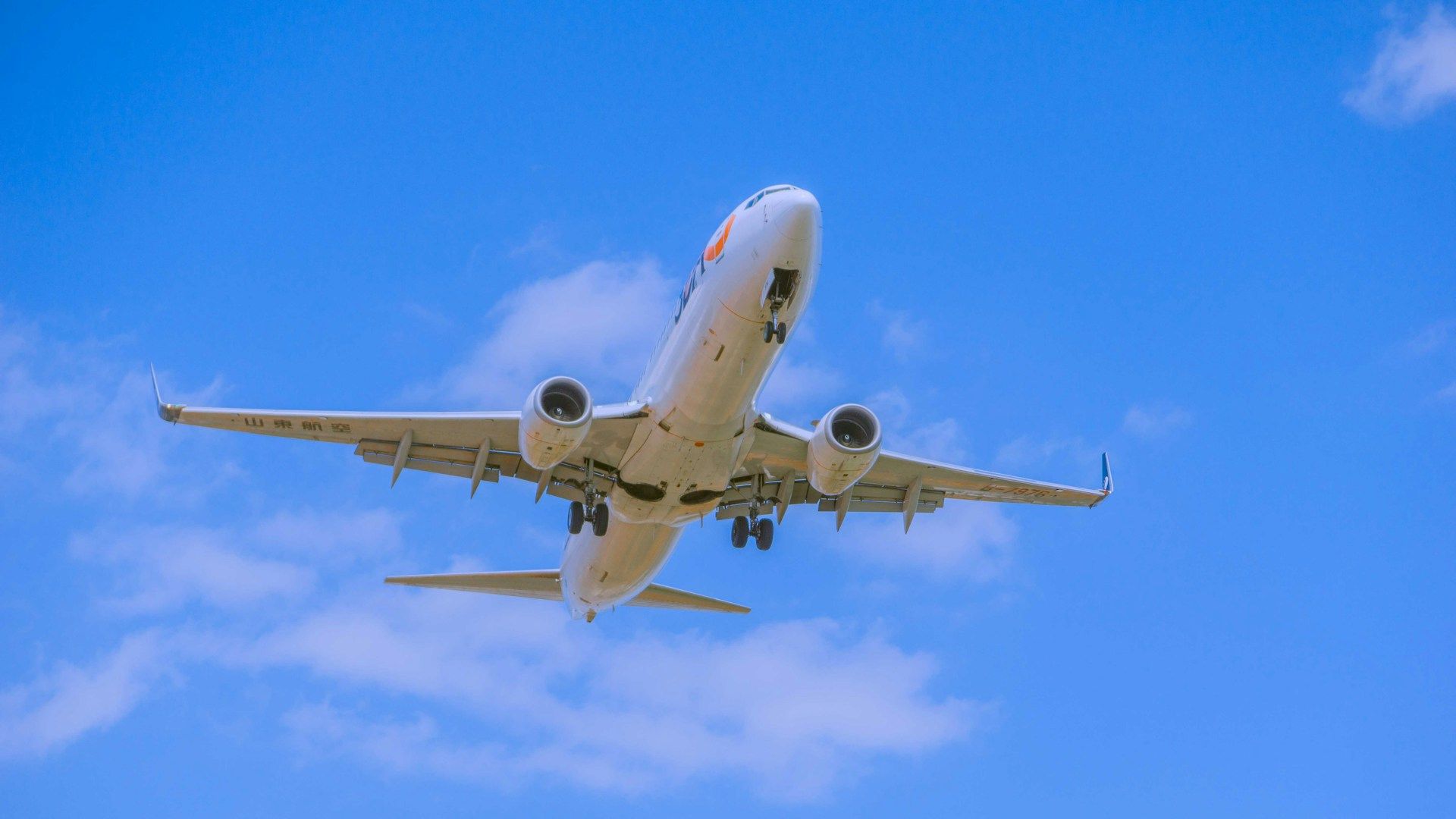 Companhia aérea famosa abre vagas de trabalho para brasileiros; veja requisitos