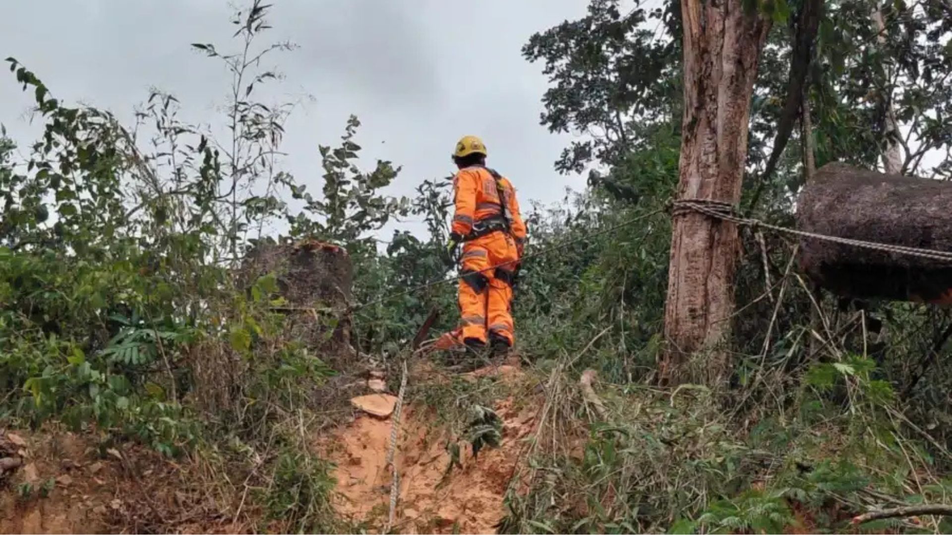 Divulgação | Corpo de Bombeiros