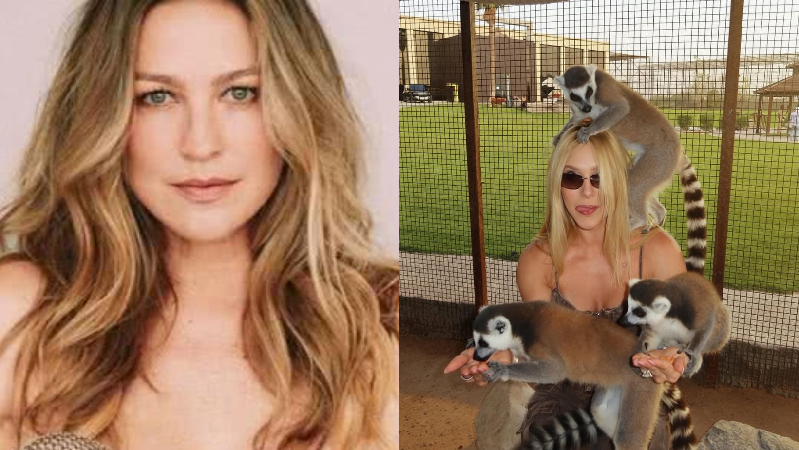 Luana Piovani detona Virginia após famosa posar com silvestres: “desgraça em forma de bunda”