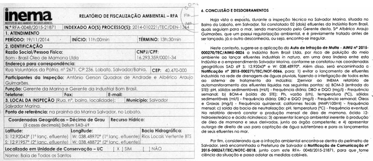 Relatório Inema 