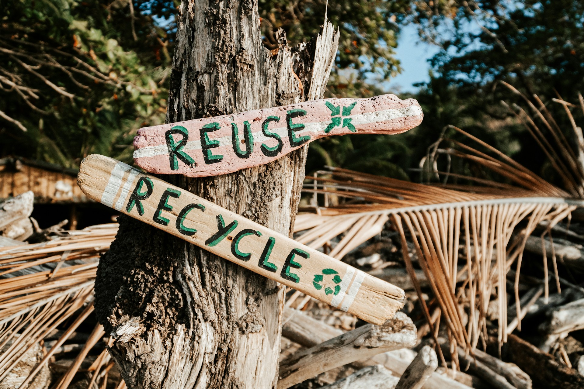 Reuse reciclye