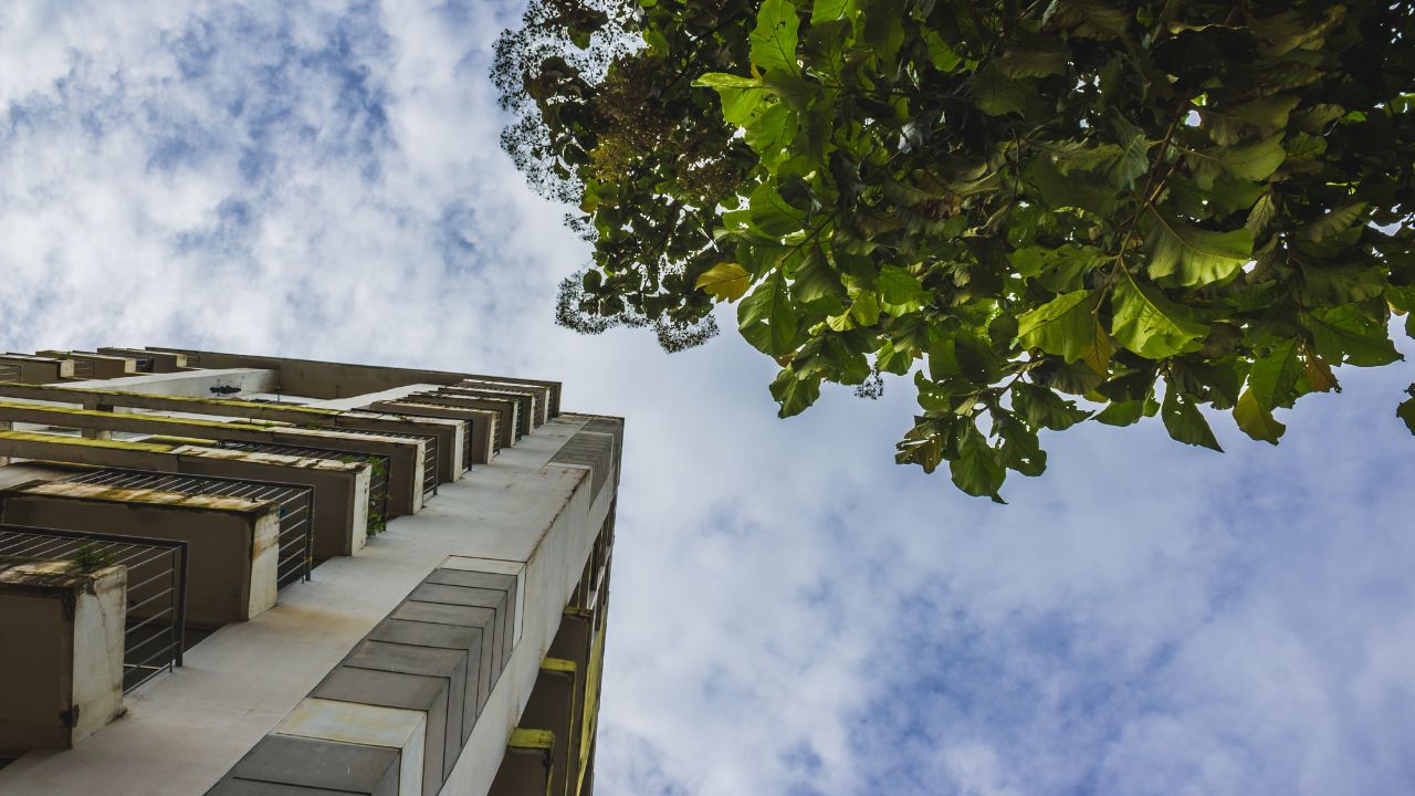 Junho Verde: Especialista aponta caminhos para reduzir os impactos ambientais urbanos