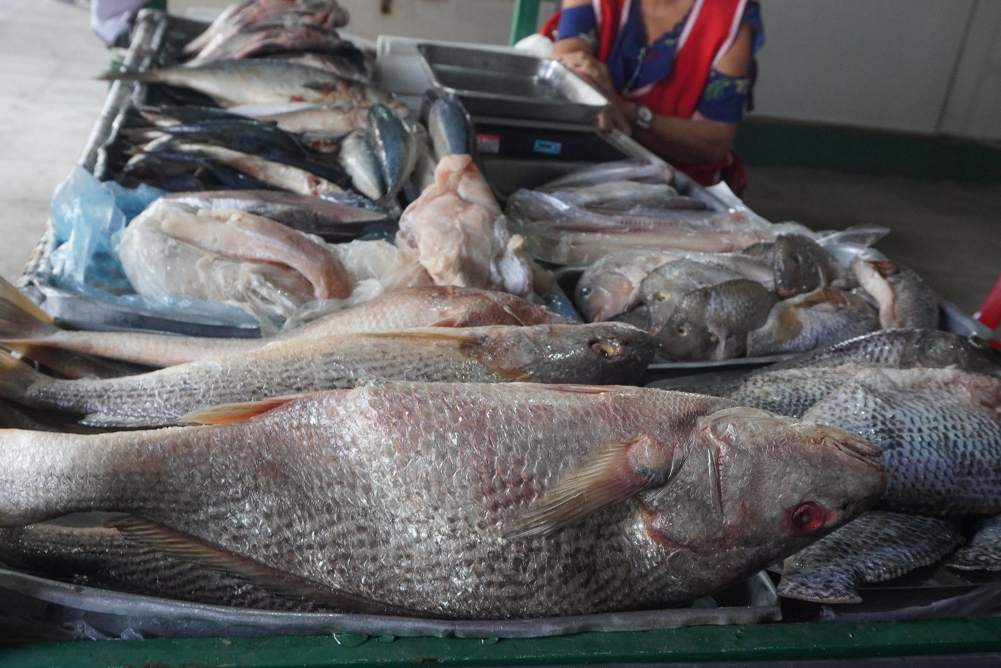 Peixe