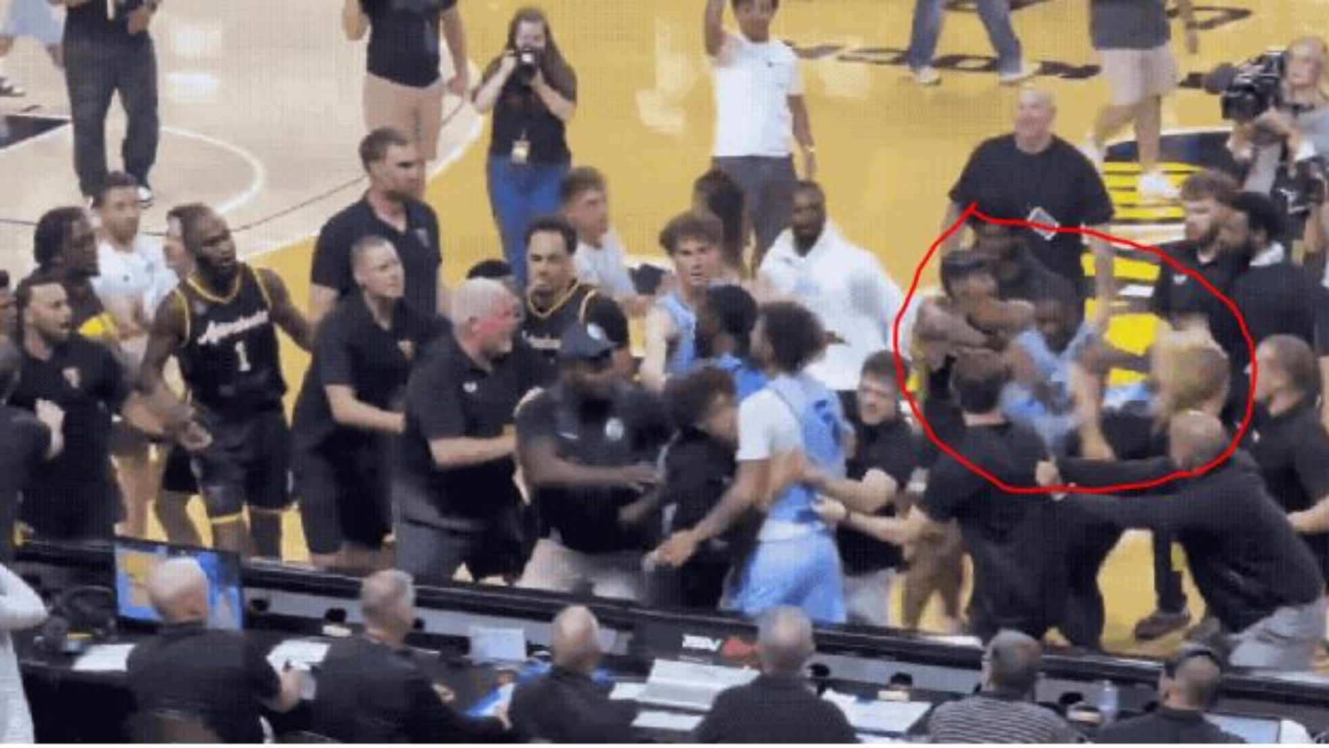 VÍDEO: Influencer famosa termina nocauteada com várias fraturas durante briga entre jogadores - QTU Questões do Universo