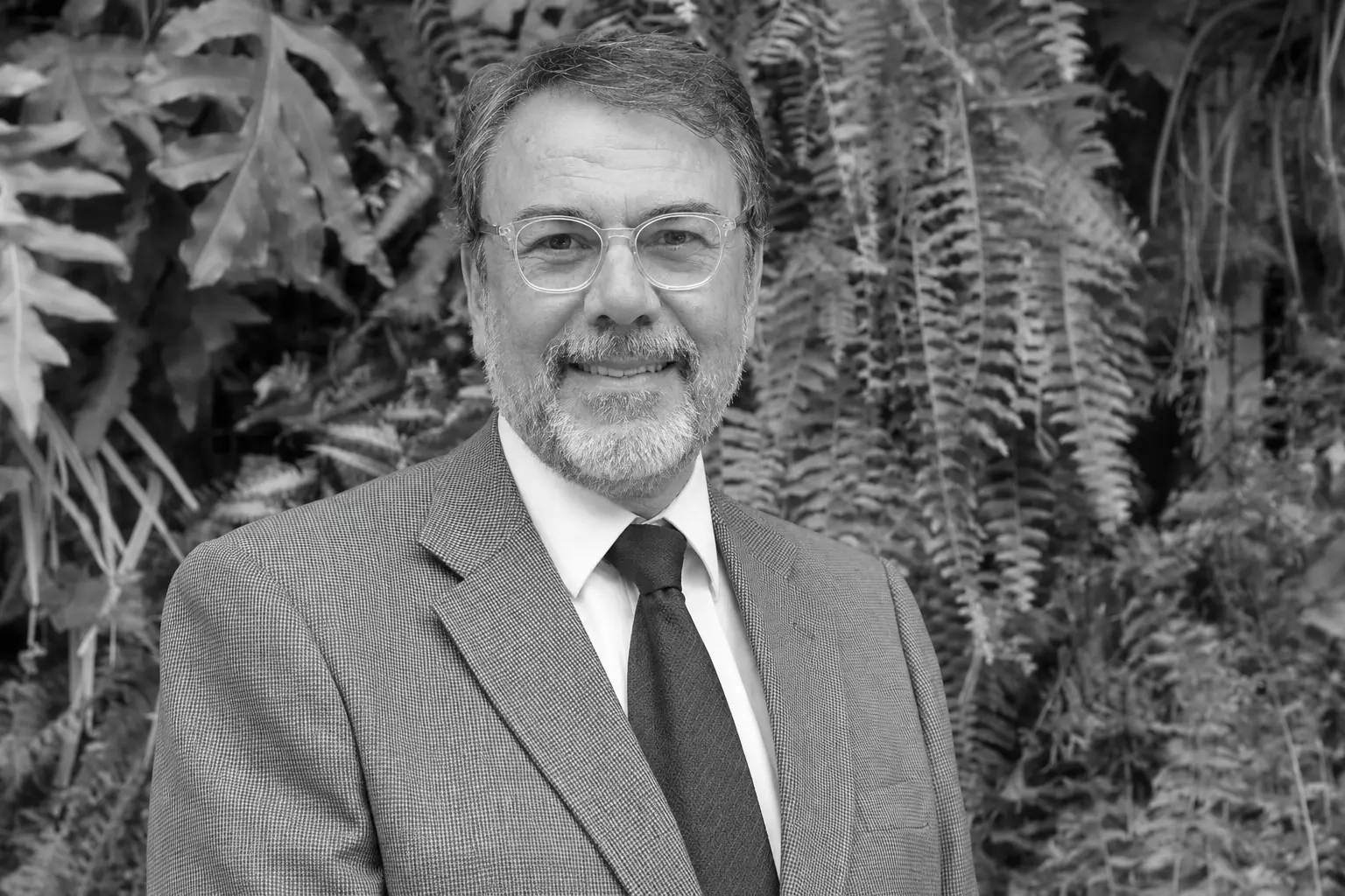 Jornalista Carlos Monforte