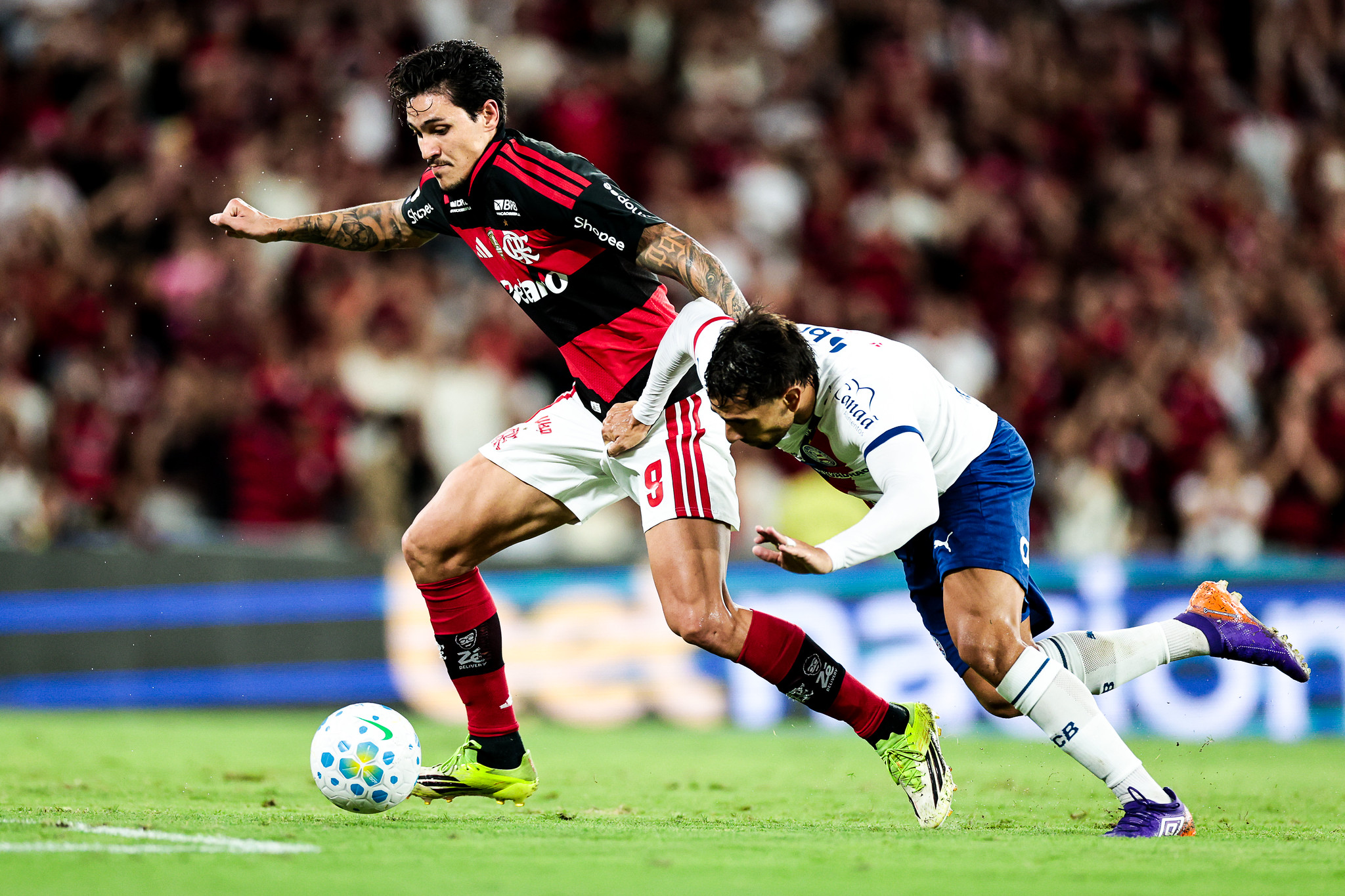 Pedro contra o Bahia