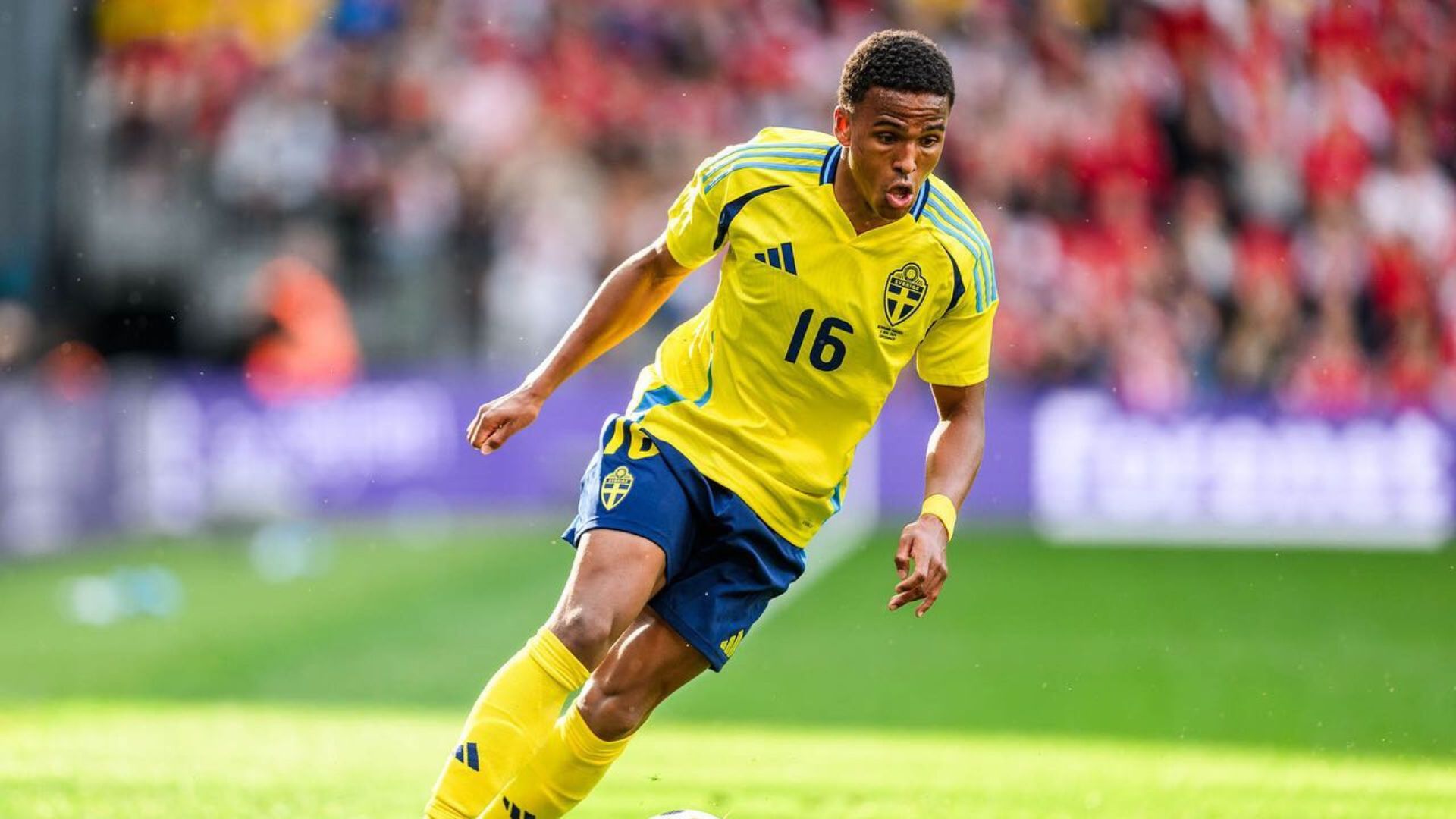 Niclas Eliasson Santana