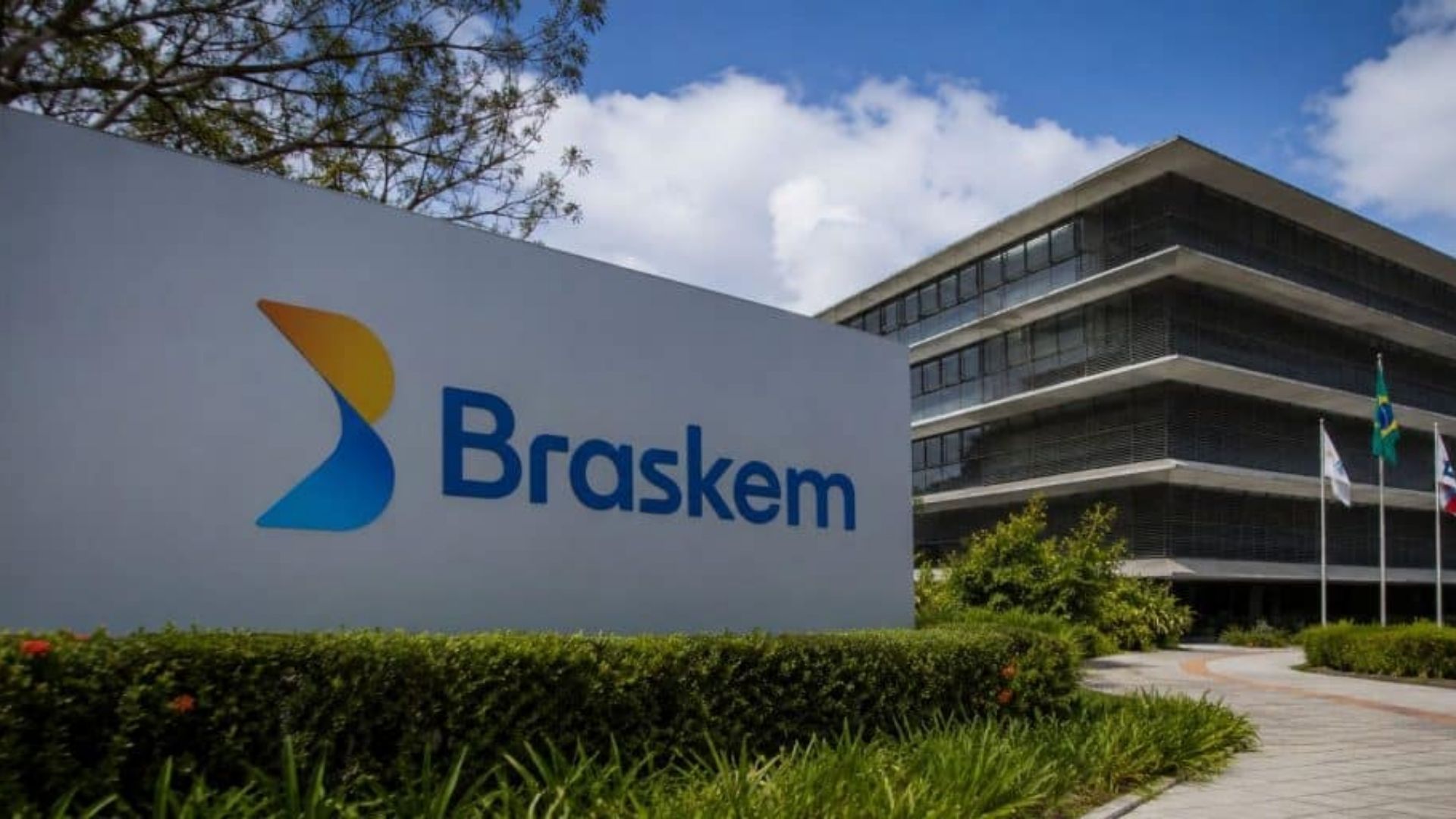 Divulgação / Braskem